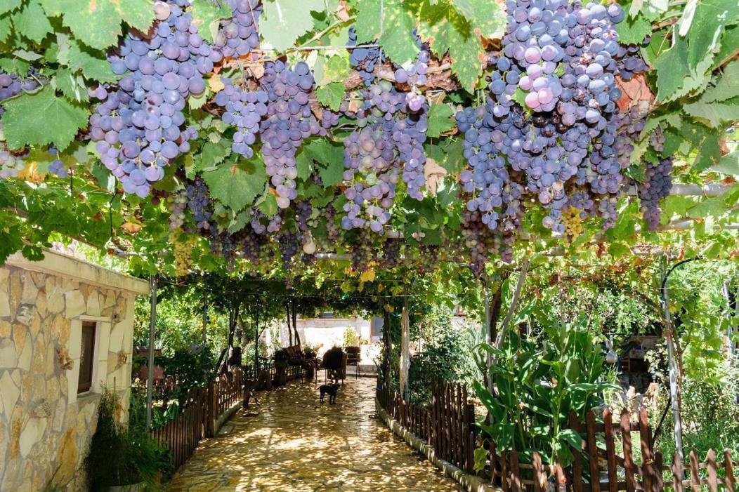 Dimitris'S Country House Agia  Exterior foto