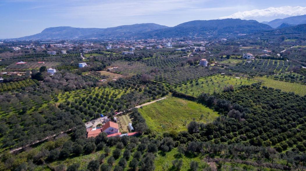 Dimitris'S Country House Villa Agia  Exterior foto