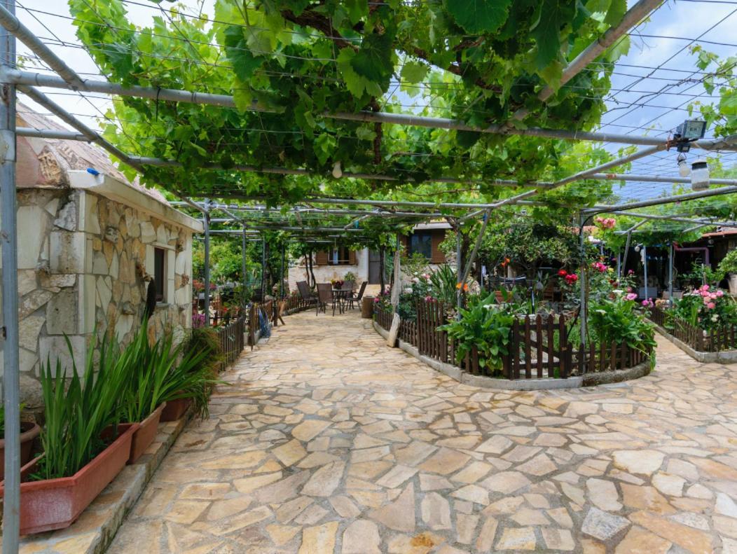 Dimitris'S Country House Agia  Exterior foto